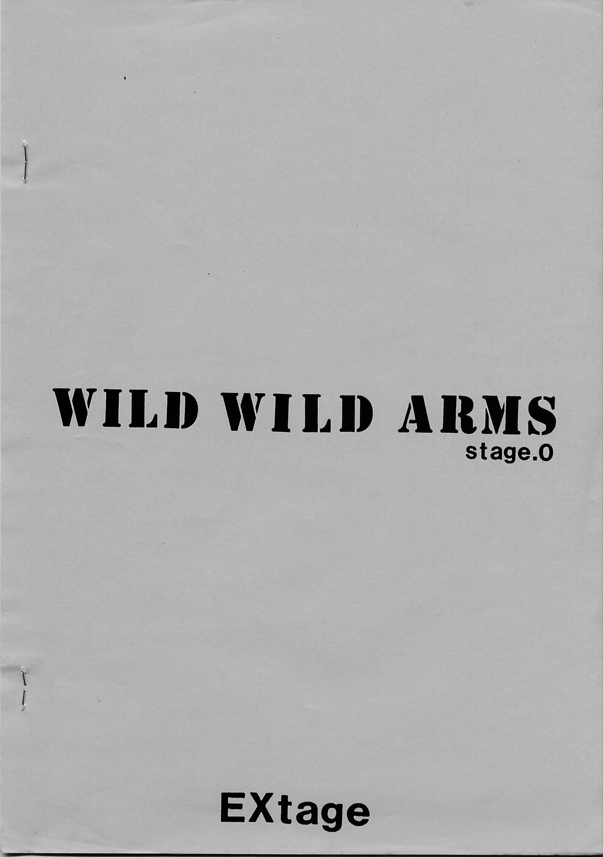 Wild Wild Arms Stage.0 12