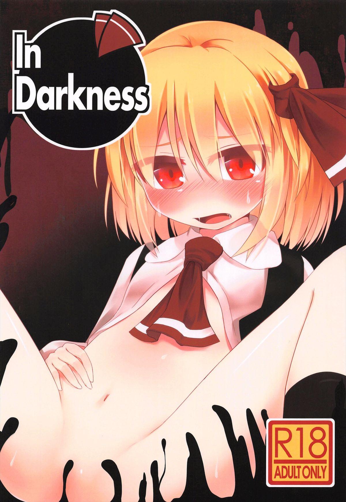 In Darkness 0