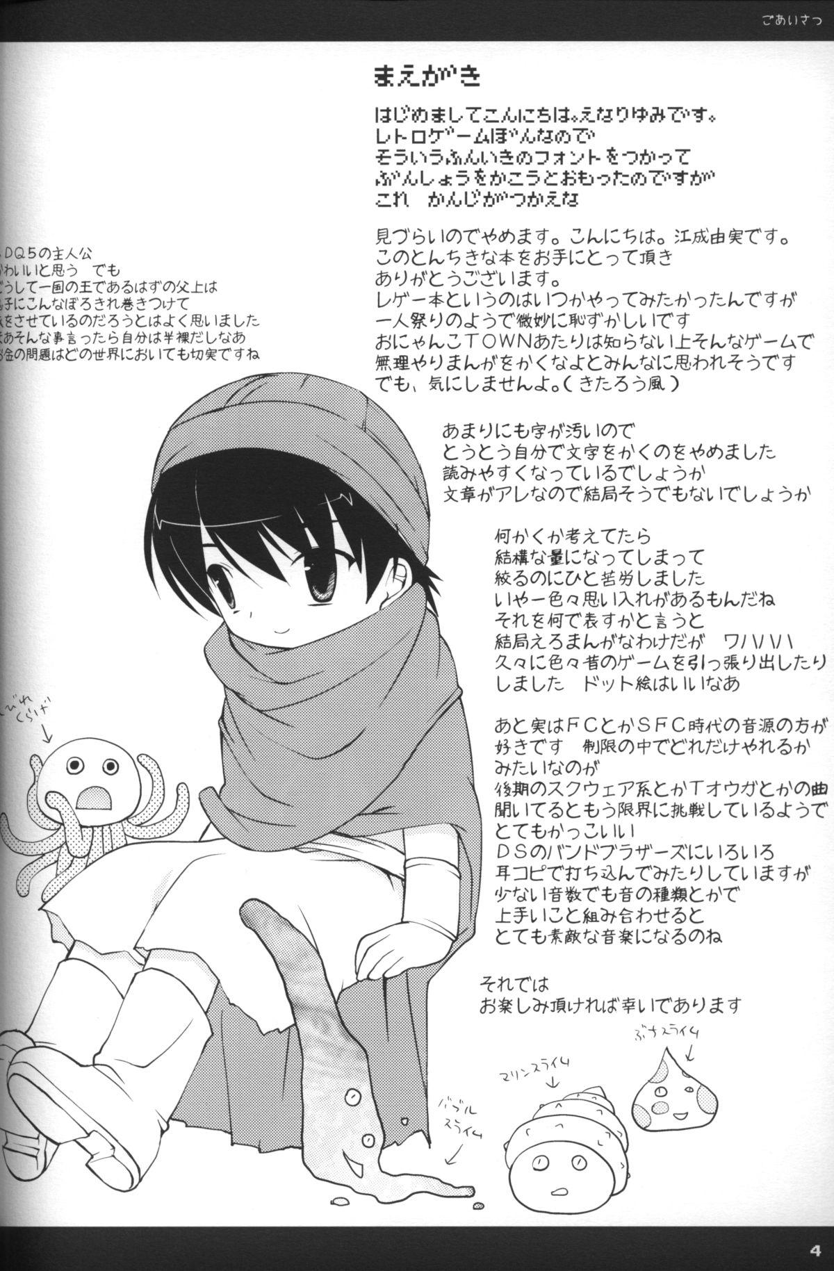 Rakuji Rekitei - Retro Game Only Fan Book 2
