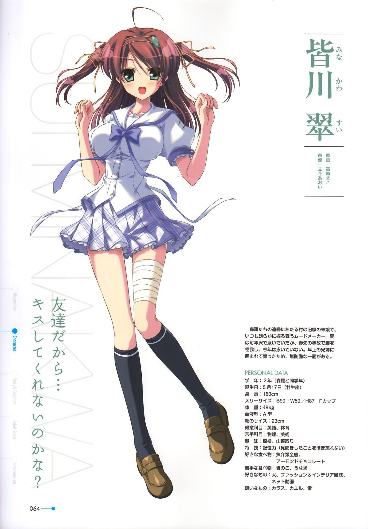 Natsuzora no Perseus Visual Fan Book 54