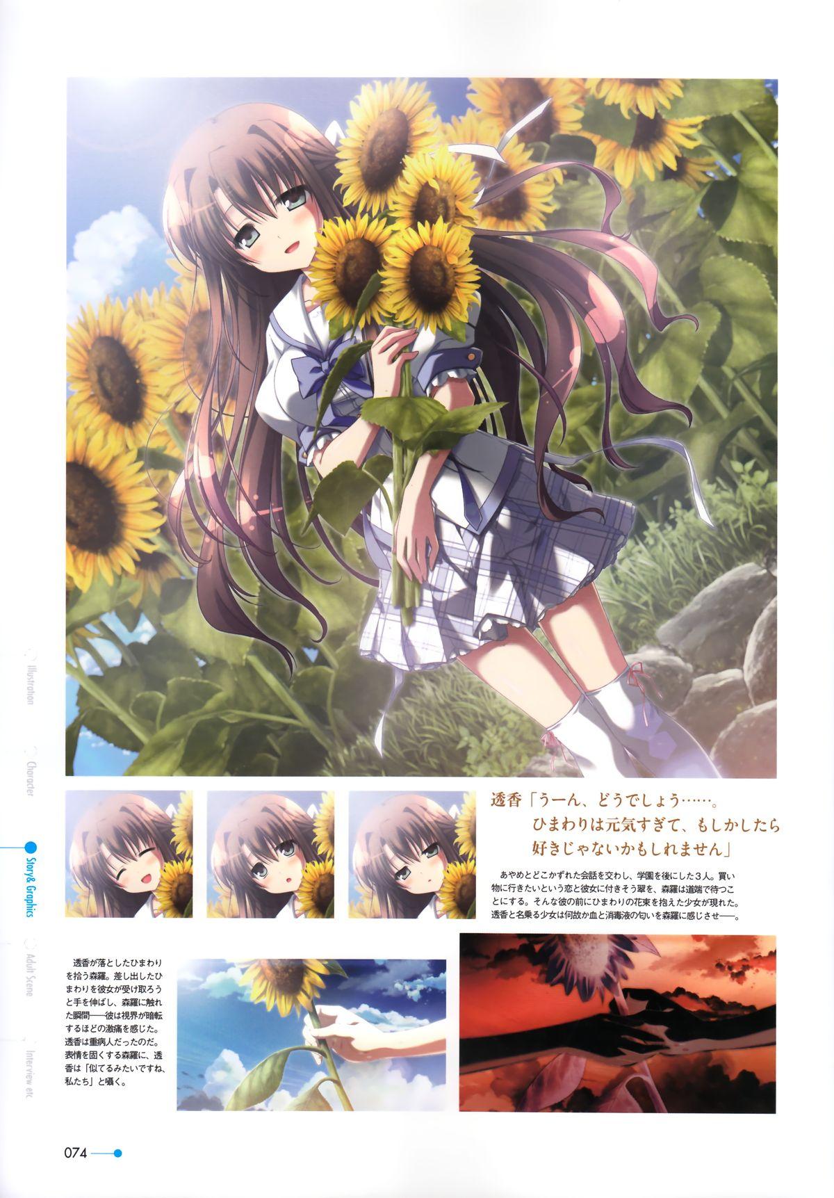 Natsuzora no Perseus Visual Fan Book 64