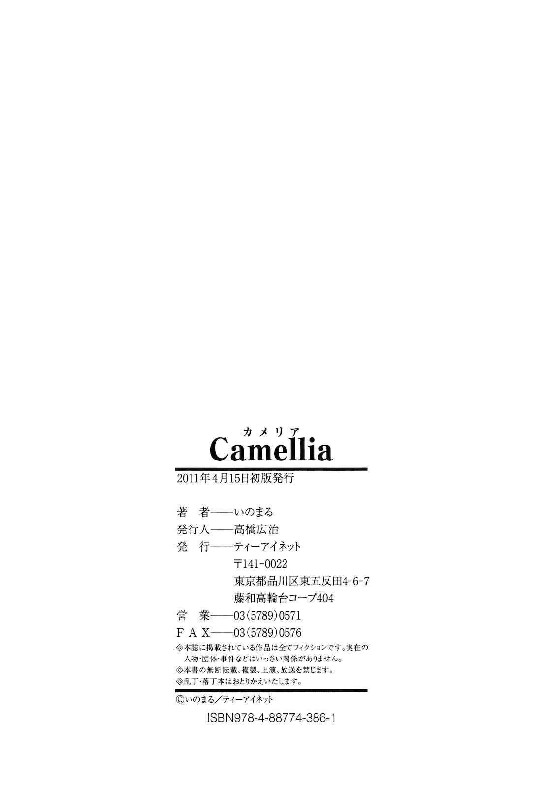 Camellia 221